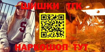 винт Сланцы
