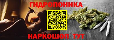винт Сланцы