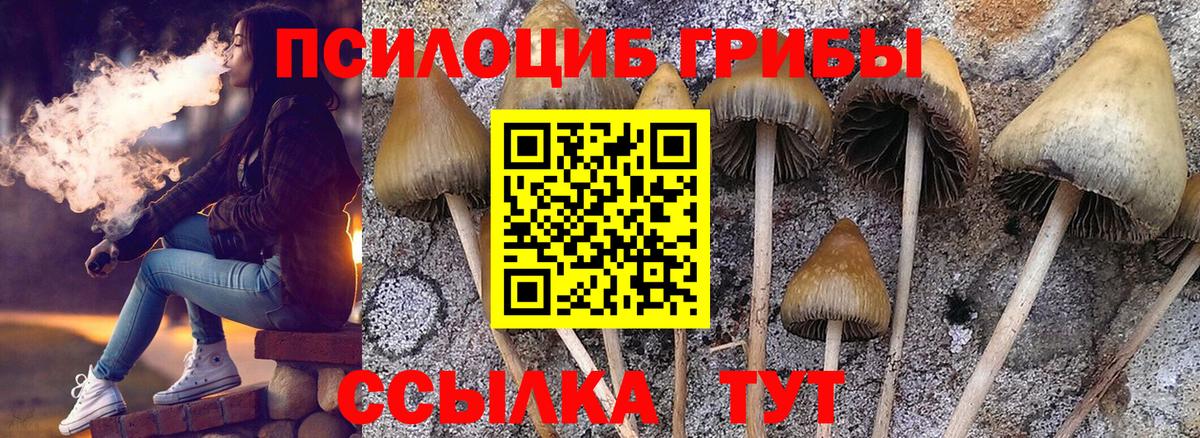 Галлюциногенные грибы Magic Shrooms Альметьевск