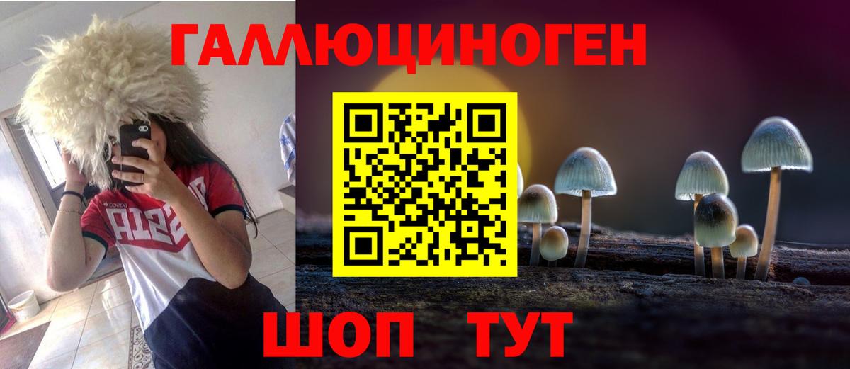 Галлюциногенные грибы Psilocybine cubensis  Вход с VPN  Альметьевск 